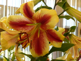 Foto: Dr. Peter Müller